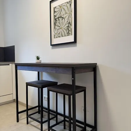 Grosse Mit Balkon Und Parkplatz Nahe Basel דירה נוינבורג אם ריין